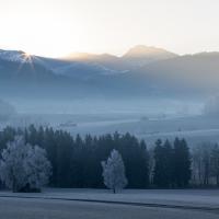 Réveil de décembre