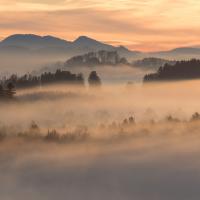Fin de journée hivernale
