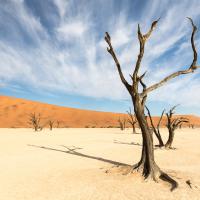 Dead Vlei, Namibie