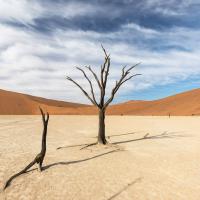 Dead Vlei, Namibie