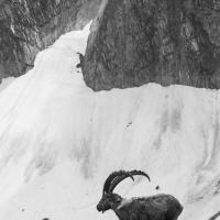 L'hiver est derrière